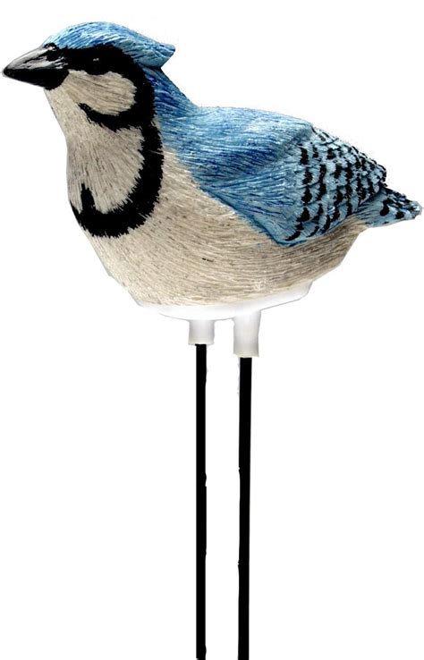 custom plant pal singing bird moisture meter|singing bird humidity meter.